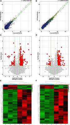 Dissecting the Roles of LncRNAs in the Development of Periventricular White Matter Damage